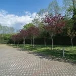 Ella Daire Umag
